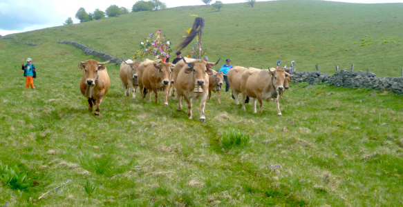 Sortie Aveyron juin 2022