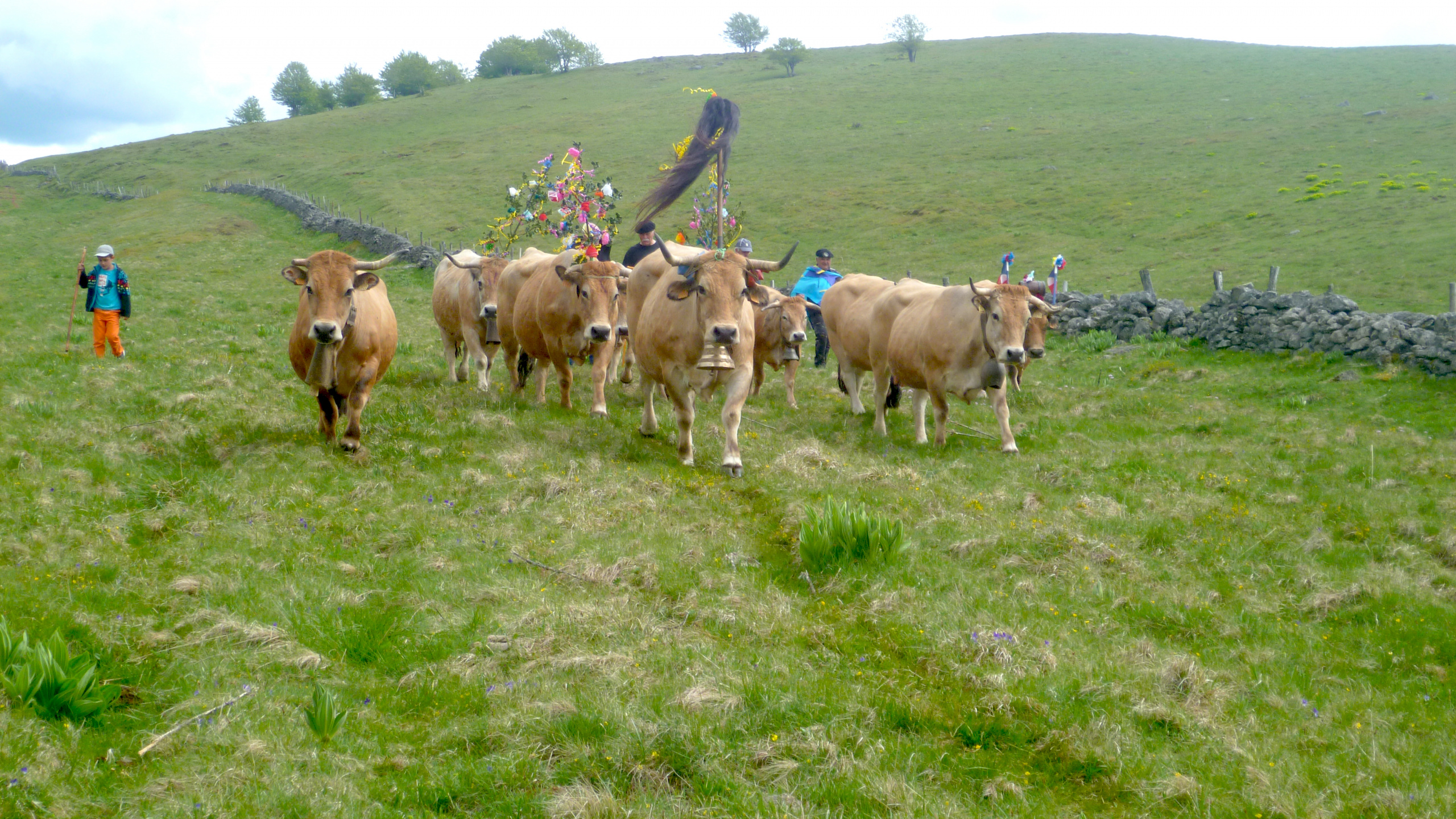 Sortie Aveyron juin 2022