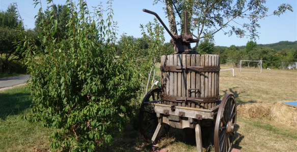 Bordeaux – Haut-Médoc & Saint-Emilion