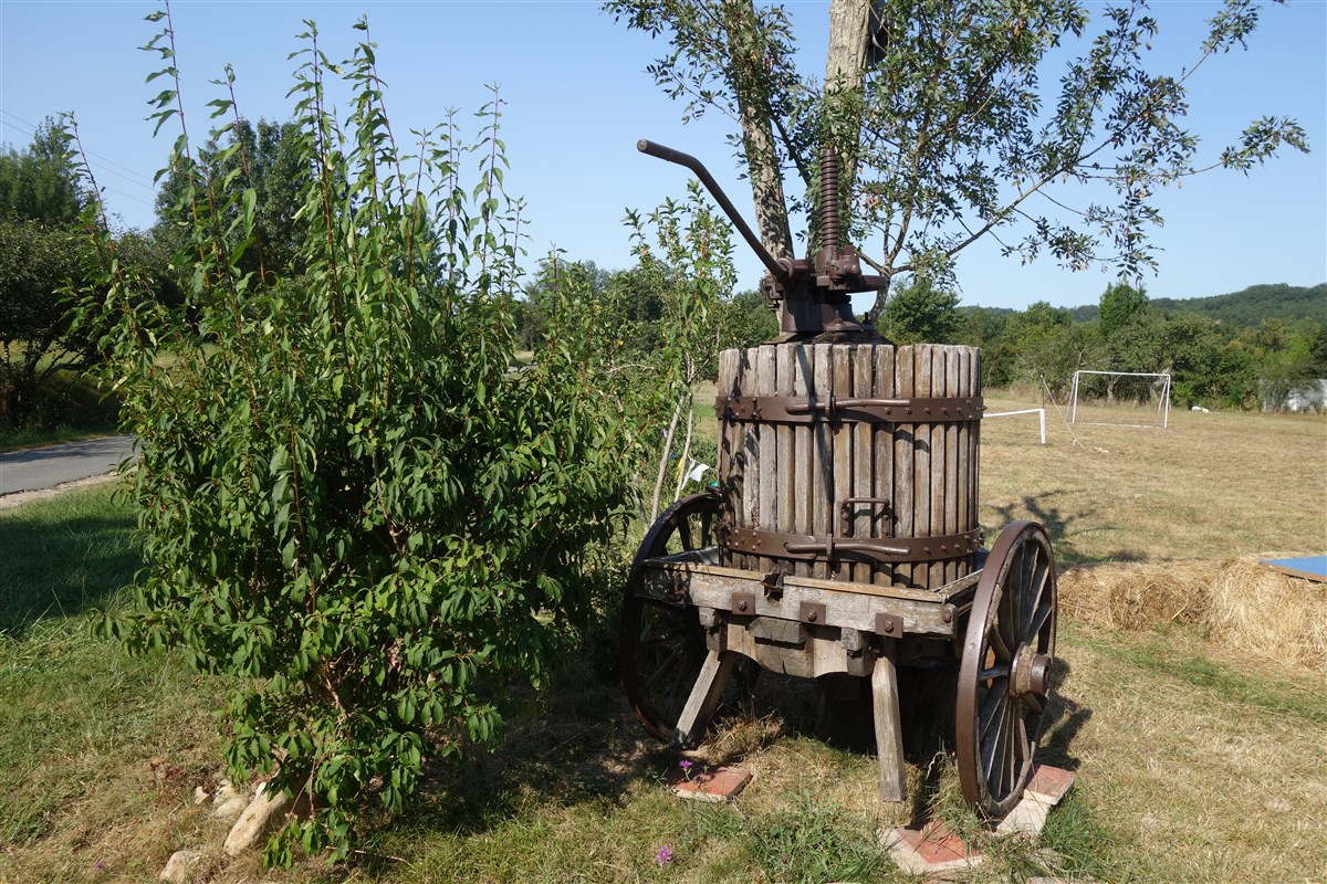 Bordeaux – Haut-Médoc & Saint-Emilion