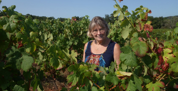 Vignes des Garbasses
