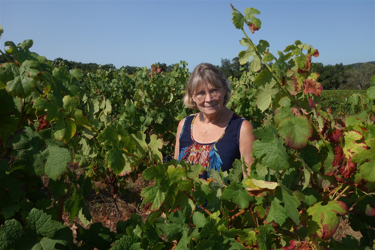 Vignes des Garbasses