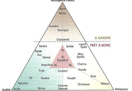 VOG – Triangle de Vedel…