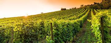 16 février 2023 – Quéfets