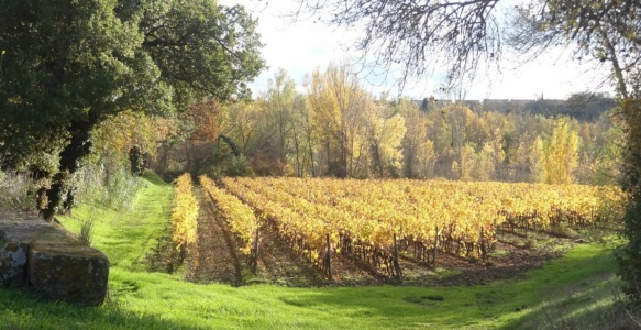 Dans l’Aude le 9 septembre